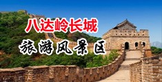 免费看操逼的网址中国北京-八达岭长城旅游风景区