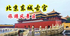 我要看老女人操逼黄片中国北京-东城古宫旅游风景区